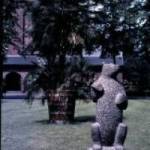 Beer zittend (Nr.:205)