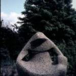 Verpleging (Nr.:213)